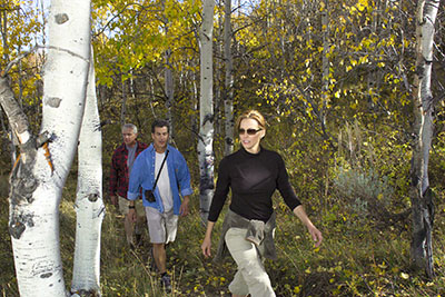 The Fall Color Offers Endless Mountain Activities