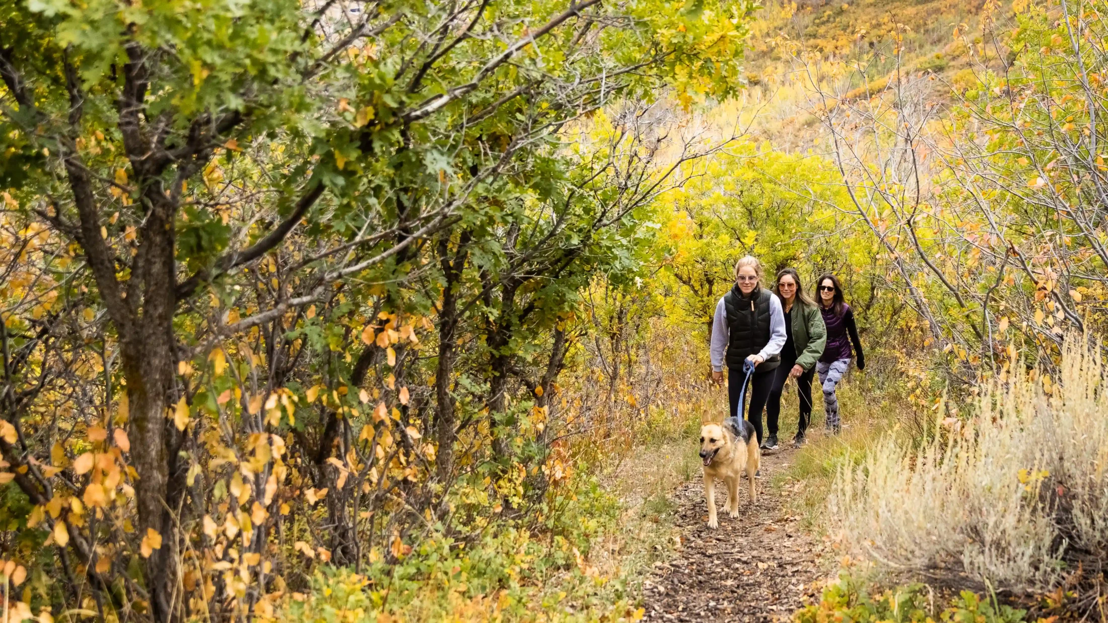 Trail System