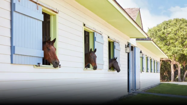 They’re Buying the Romance of the Ranch Without the Workhorse Responsibilities